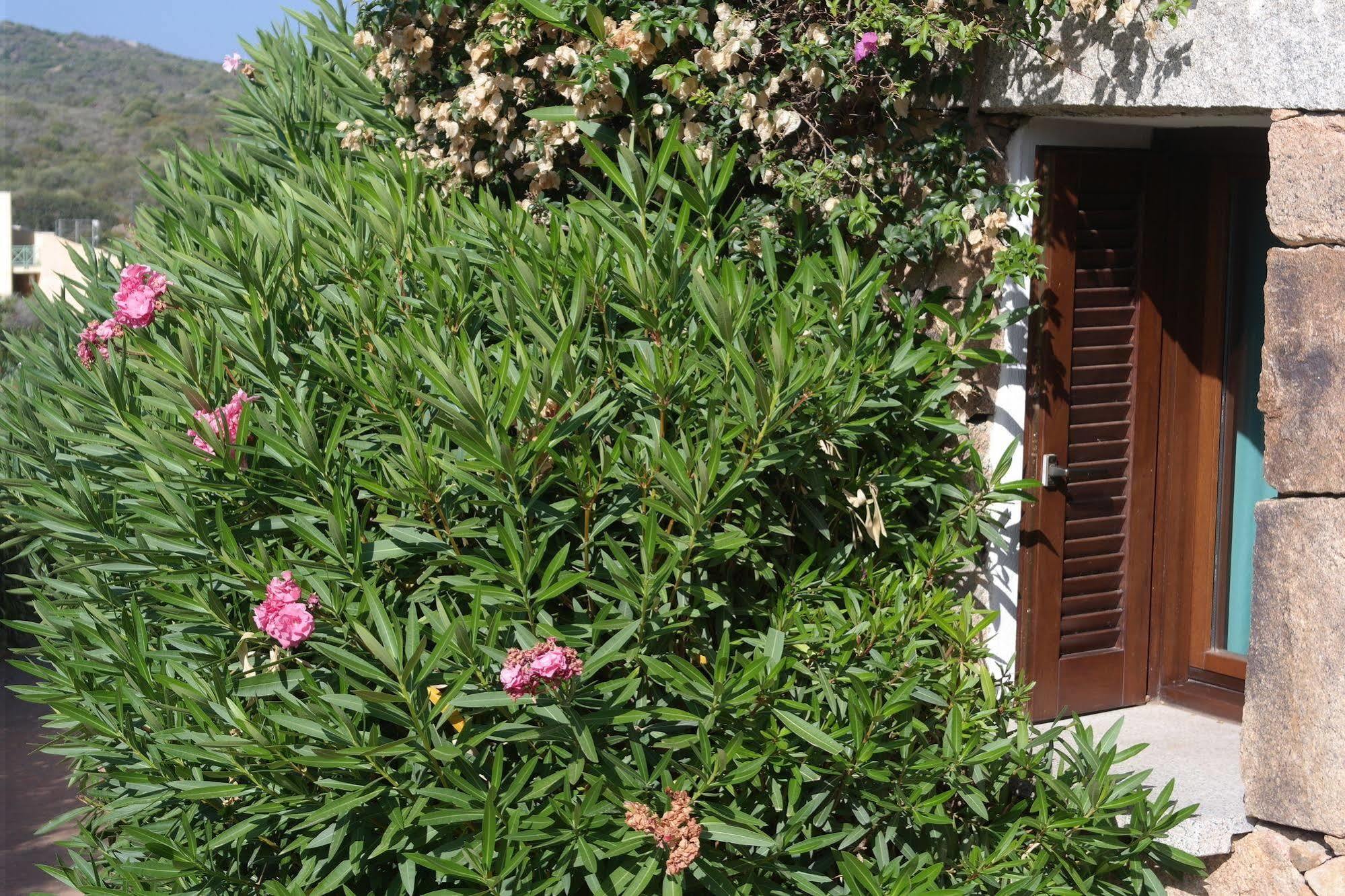 Sardinia Blu Residence Golfo Aranci Exterior foto